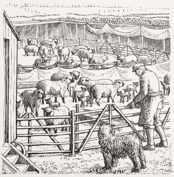 tunnicliffe-87944