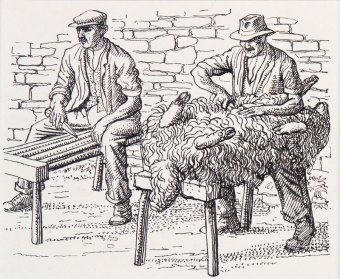 tunnicliffe-88003