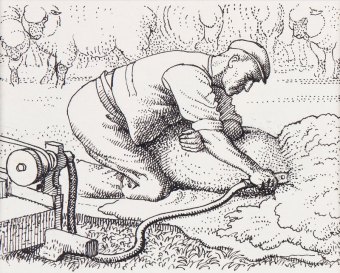 tunnicliffe-88005