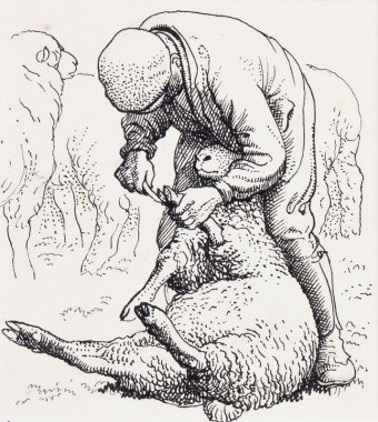 tunnicliffe-88006