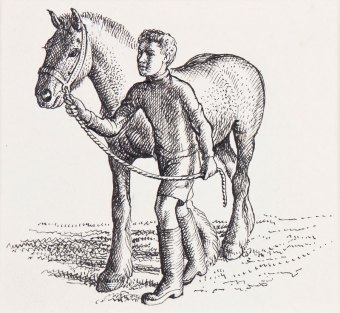 tunnicliffe-88010