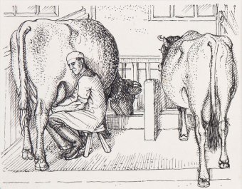 tunnicliffe-88014