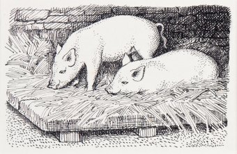 tunnicliffe-88018