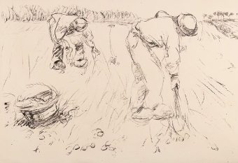 B14