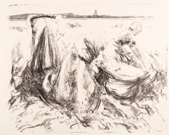 B19