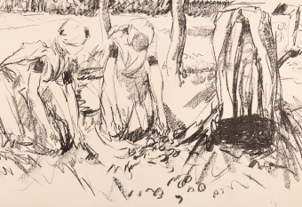 B23