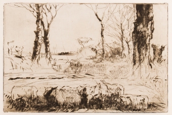 B37
