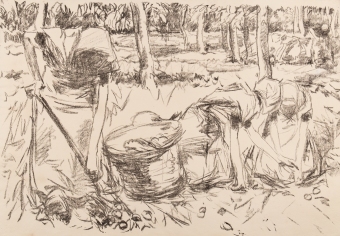 B44