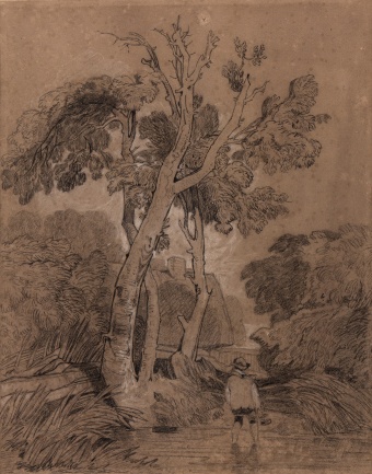 Cotman-96470