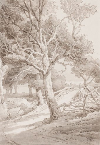 Abbott-92032