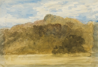 cox