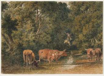 Hills-97635