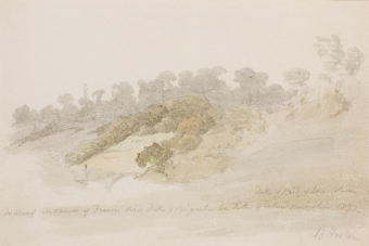hills-88254unmounted