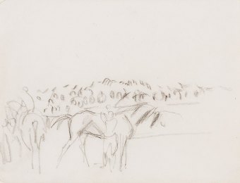 Knight-91975.jpg