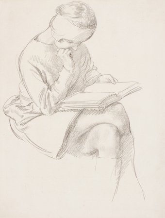 schwabe-71263