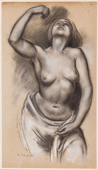 schwabe-71269