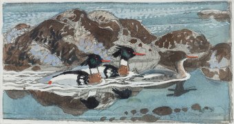 Tunnicliffe-91818