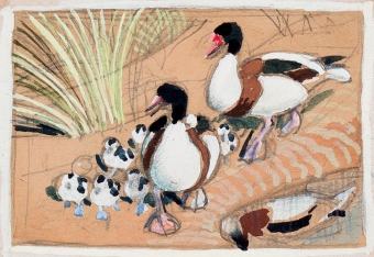 Tunnicliffe-91851