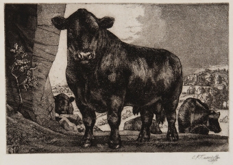 Tunnicliffe-94402