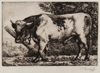 Tunnicliffe-94406