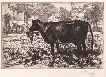 Tunnicliffe-94407