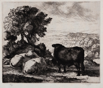 Tunnicliffe-97175