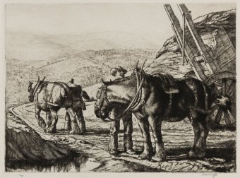 tunnicliffe-90785