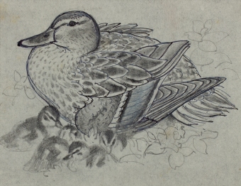 tunnicliffe-web-88024
