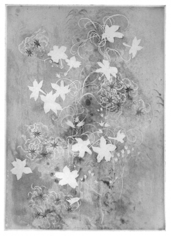 austin-winterlace-44