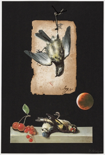 Greger-After-Eden-Came-The-Still-Life-02-30