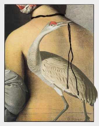 Greger-Lost-Bird-08