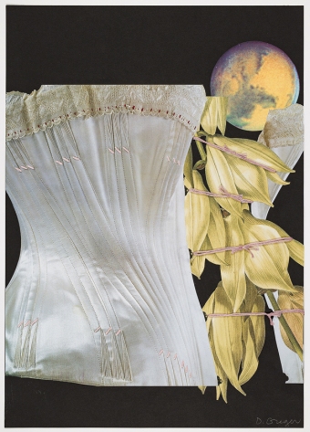 Greger-Materia-Poetica-White-2-27