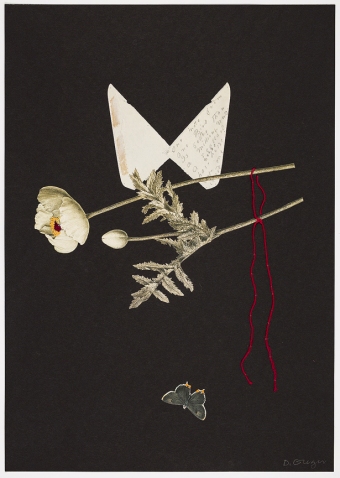 Greger-Materia-Poetica-White-4-29