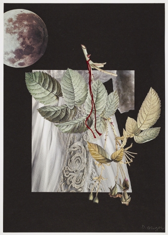 Greger-Materia-Poetica-White-5-28