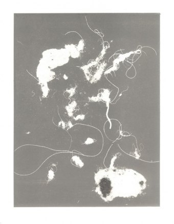 aphrodite-and-dione