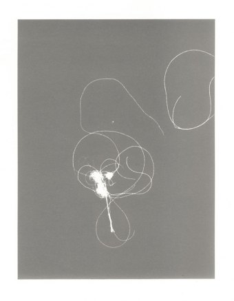 belvedere-torso