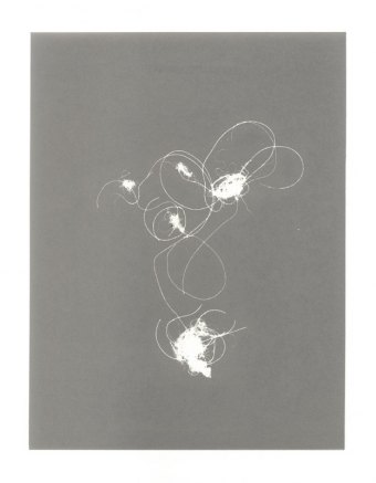 the-artist