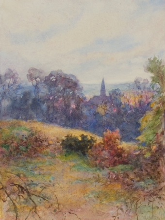 24-cropped