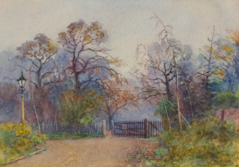 29-cropped