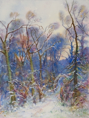 37-cropped
