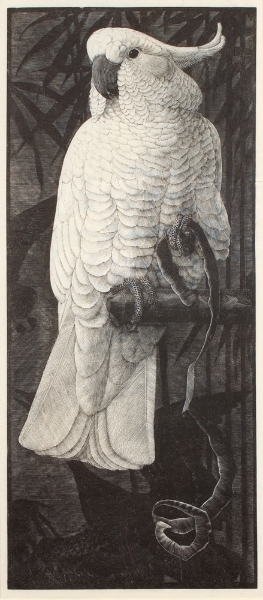 tunnicliffe-87960