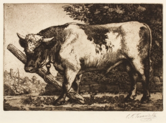 tunnicliffe-87961