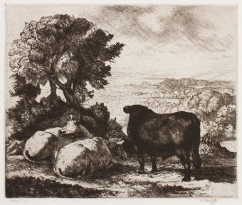 tunnicliffe-87962