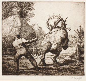 tunnicliffe-87963