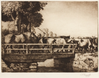 tunnicliffe-87964