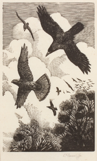 tunnicliffe-87969