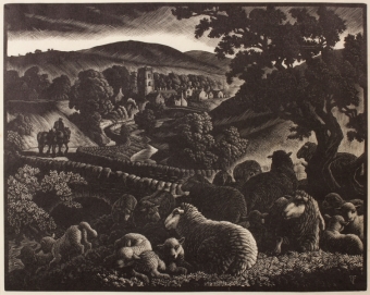 tunnicliffe-87984