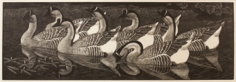 tunnicliffe-88030