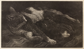 tunnicliffe-88047