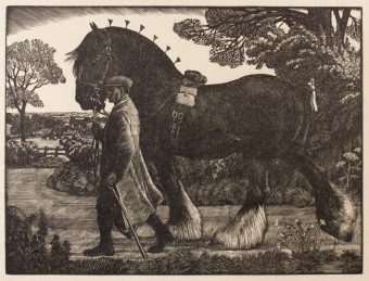 tunnicliffe-88048
